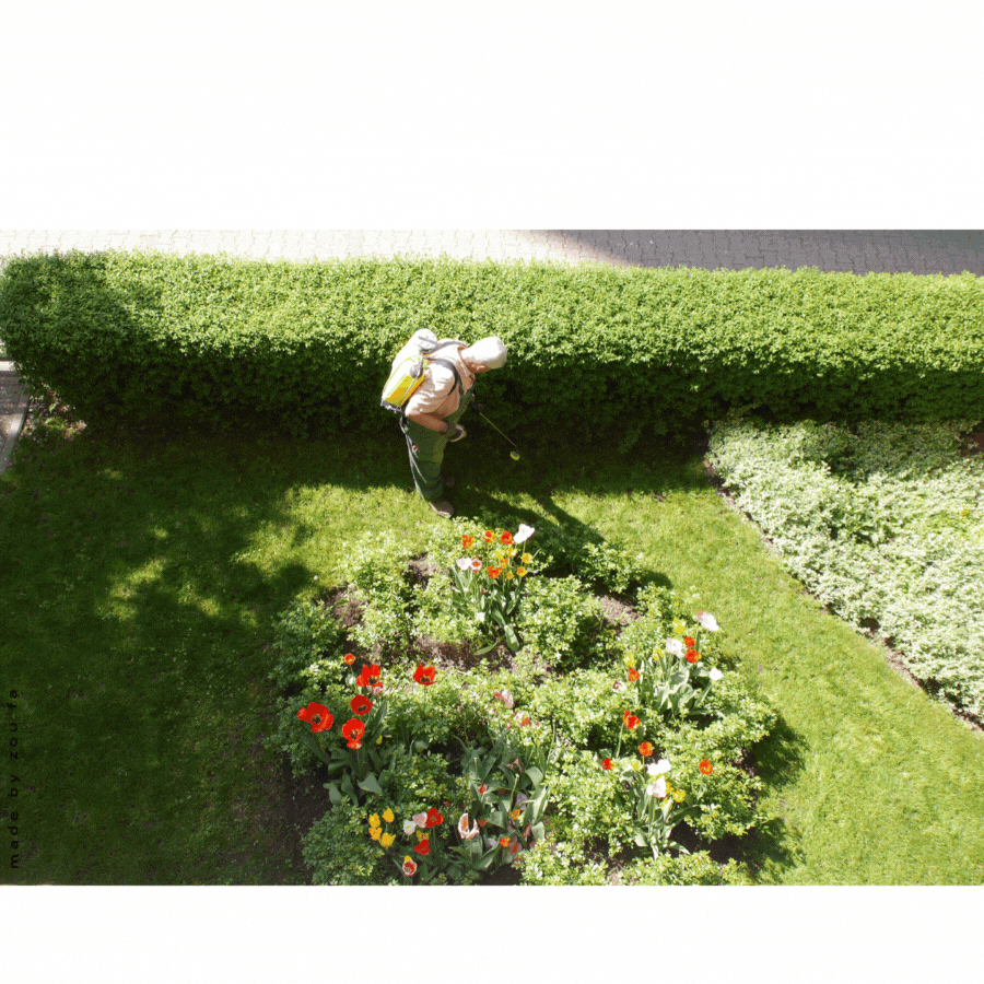 An image of a gardener, a barber, & an exchange of rings at a wedding. These are the type of customers that we provide domain name hosting and website design services to across the North East of England